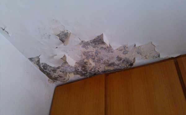 屋顶开裂漏水